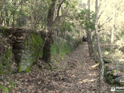 La Alberca, Sierra de Francia; torrelaguna botas de montaña camino madroño rutas viajar solo grazale